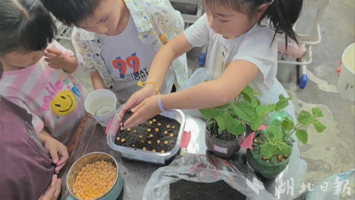 一颗小豌豆催生跨学科大课堂 青山校园创新实践“五育融合”新样本