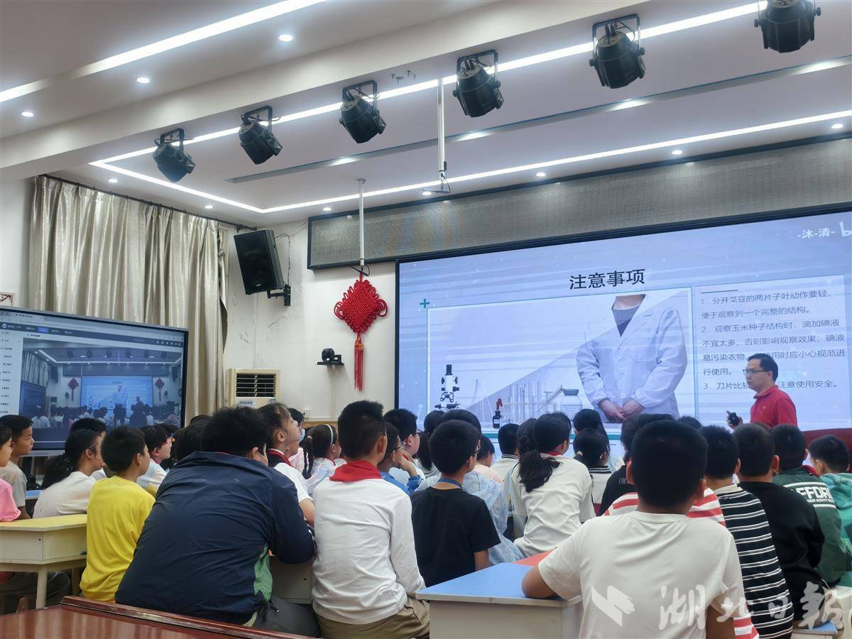 一颗小豌豆催生跨学科大课堂 青山校园创新实践“五育融合”新样本