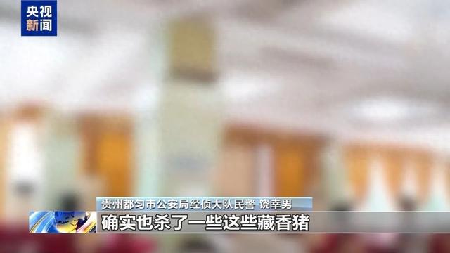 “云养猪”能挣钱，每月获返利稳赚不赔？警方揭秘——