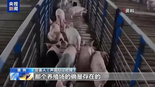 “云养猪”能挣钱，每月获返利稳赚不赔？警方揭秘——