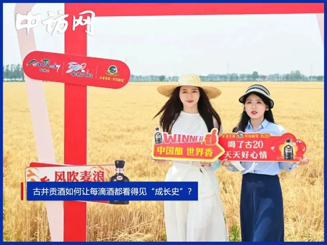 古井贡酒如何让每滴酒都看得见“成长史”？