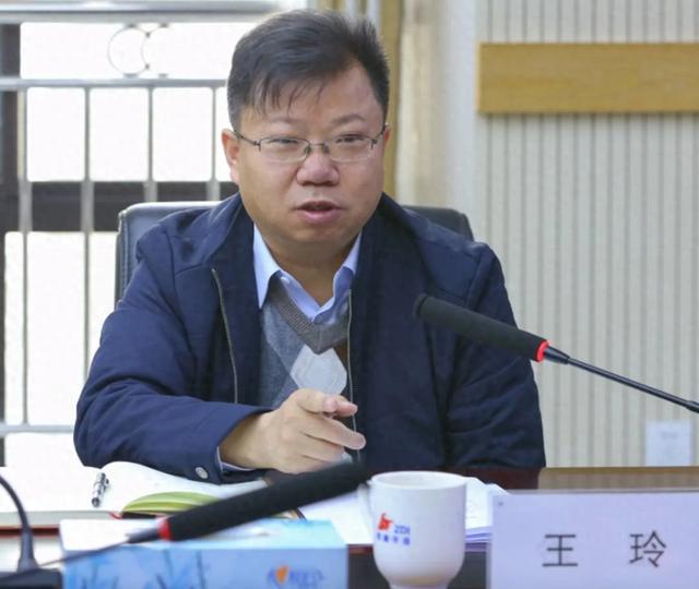 董事长王玲，任上被查