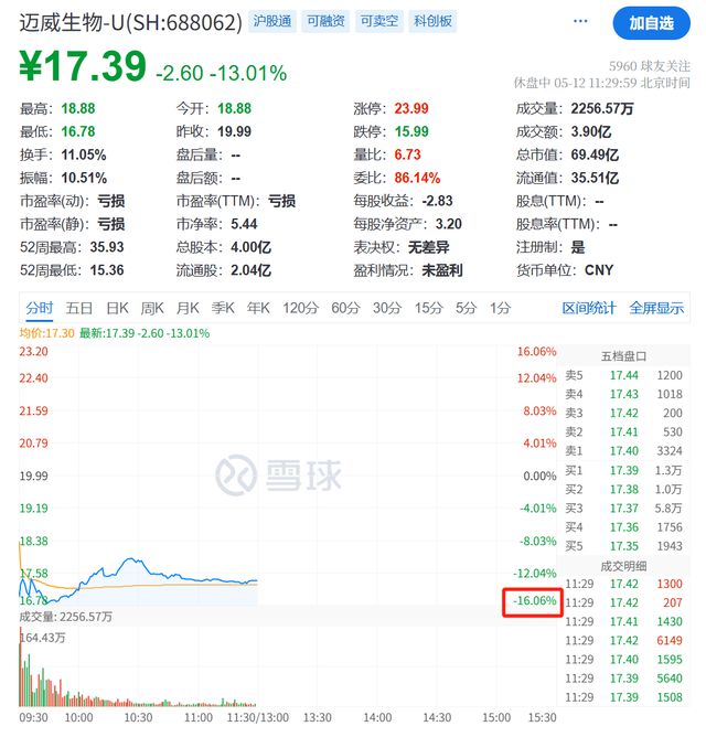小米集团，突然跳水！
