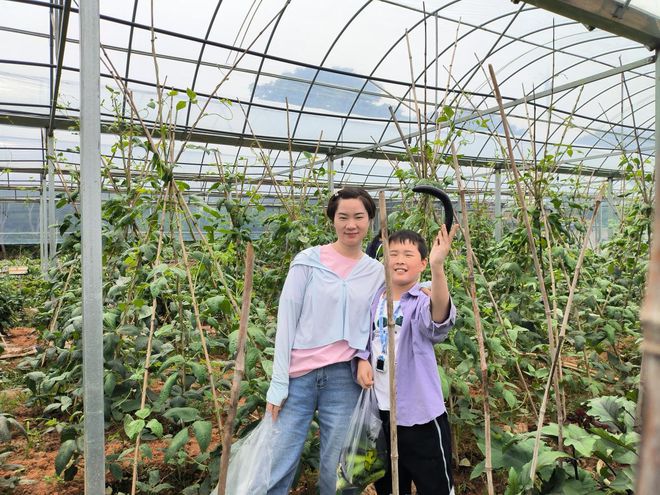 白沙洲街堤东社区母亲节活动之菜园里的亲子课堂与感恩盛宴