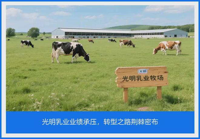 光明乳业业绩承压，转型之路荆棘密布