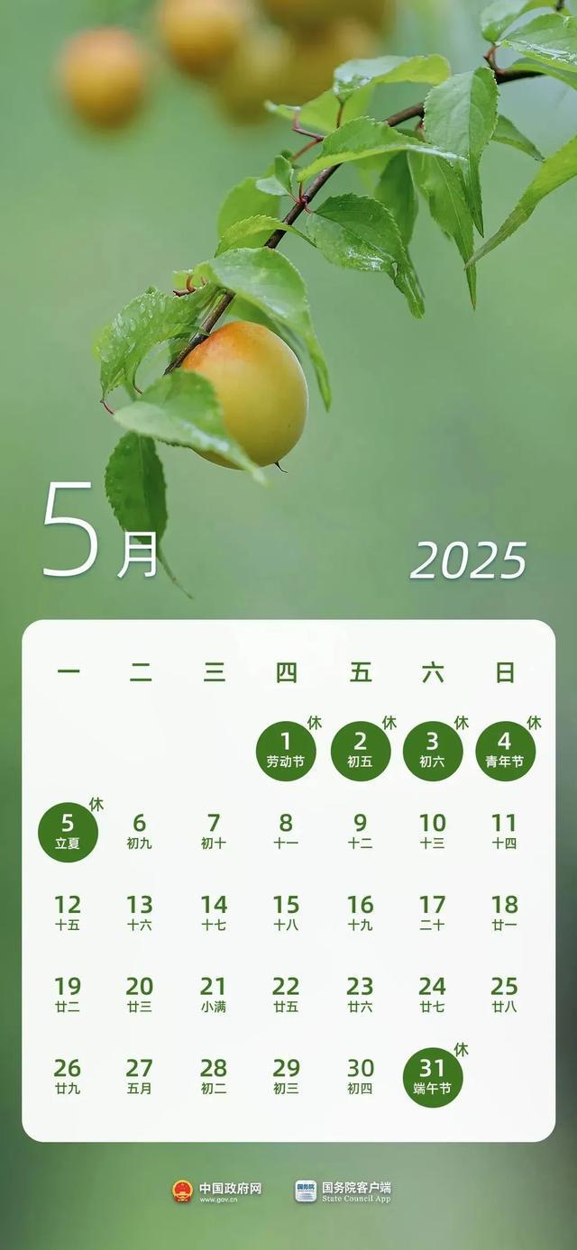放假3天，不调休！不免费！