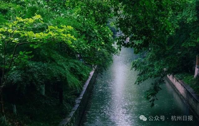 大雨、暴雨、大暴雨！刚刚确认，马上杀到杭州！持续10天...