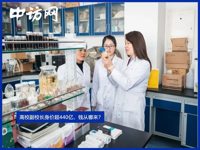 高校副校长身价超440亿，钱从哪来？