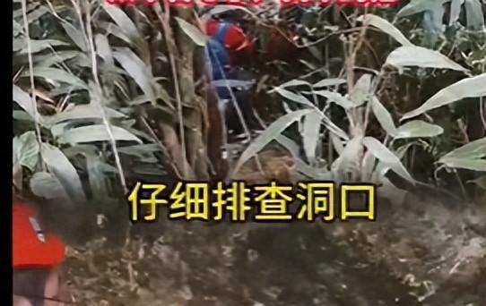 8岁男童山上失踪超13天，志愿者凌晨崩溃哭泣：太不甘心了，找不到他