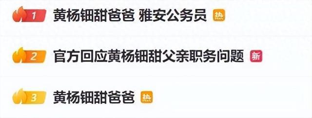 雅安纪委监委回应“黄杨钿甜耳环事件”