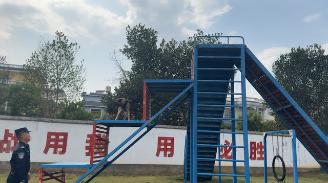 退休刚满1年，“缉毒英雄”突传去世...