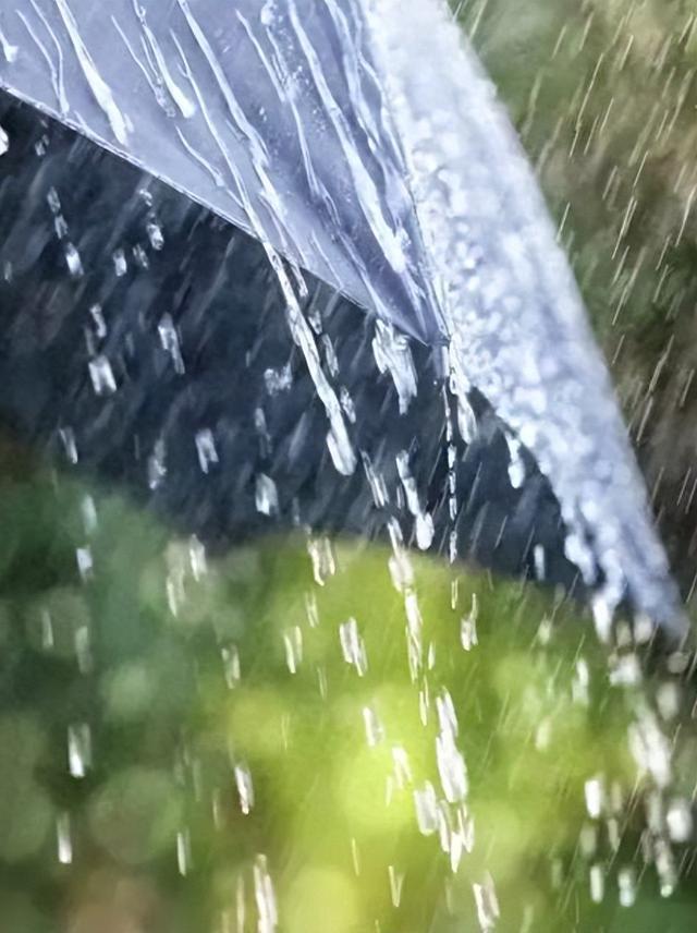 雨雨雨，未来一周长沙雨量偏多，这两天还有暴雨！
