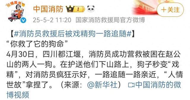 “你救了它的狗命，它爱上你了！”消防员被“戏精狗”疯狂抱腿亲亲