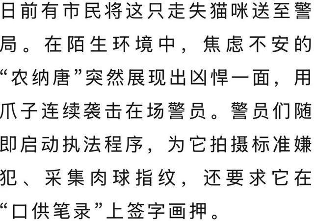 泰国猫咪连环袭警被捕，所拍入案照走红网络