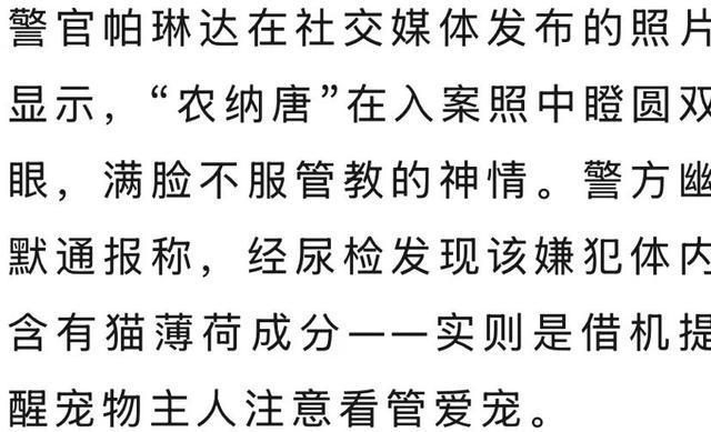 泰国猫咪连环袭警被捕，所拍入案照走红网络