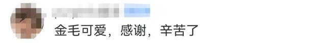 “你救了它的狗命，它爱上你了！”消防员被“戏精狗”疯狂抱腿亲亲