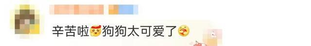 “你救了它的狗命，它爱上你了！”消防员被“戏精狗”疯狂抱腿亲亲