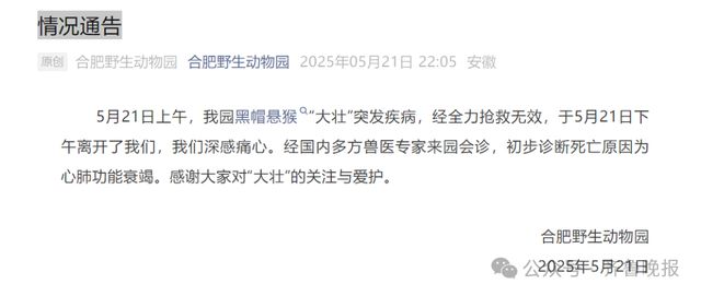 知名网红突发疾病离世！这个月刚火上热搜