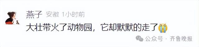 知名网红突发疾病离世！这个月刚火上热搜