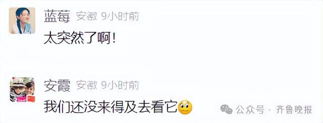 知名网红突发疾病离世！这个月刚火上热搜