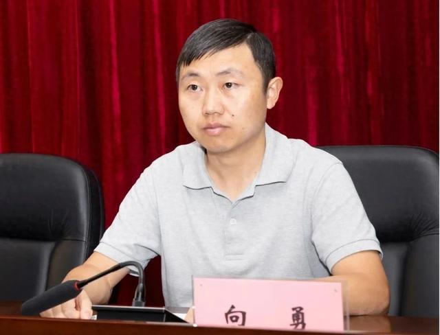“90后”北大博士向勇，拟升正处