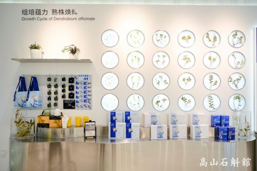 植物医生高山石斛馆落成，“中国成分”实现价值升舱