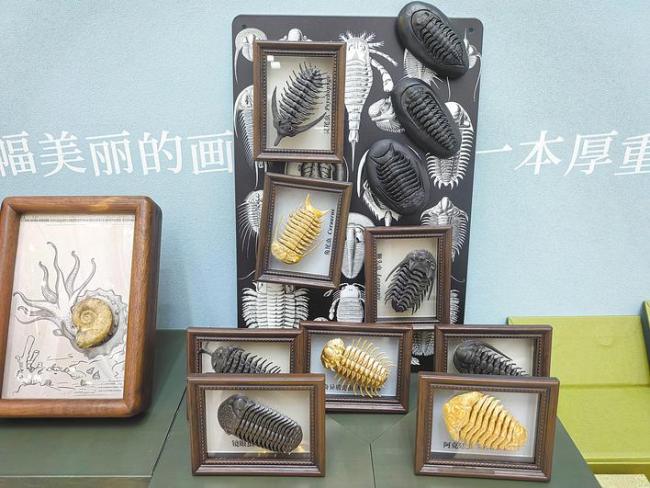 利川天坑群、三叶虫化石，还有网红日出打卡点……  湖北省新发现万余处文旅“宝藏”