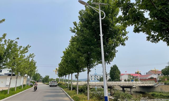 区势丨三把钥匙，打开白塔善治之门