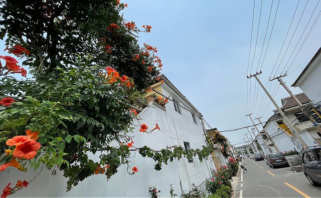 区势丨三把钥匙，打开白塔善治之门