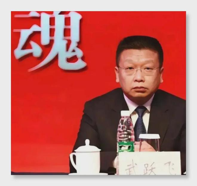 从市长到酒业副帅：武跃飞如何为汾酒下一盘"破局大棋"？