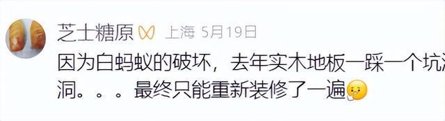 上海人注意！未来十几天随时可能爆发！