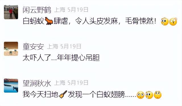 上海人注意！未来十几天随时可能爆发！