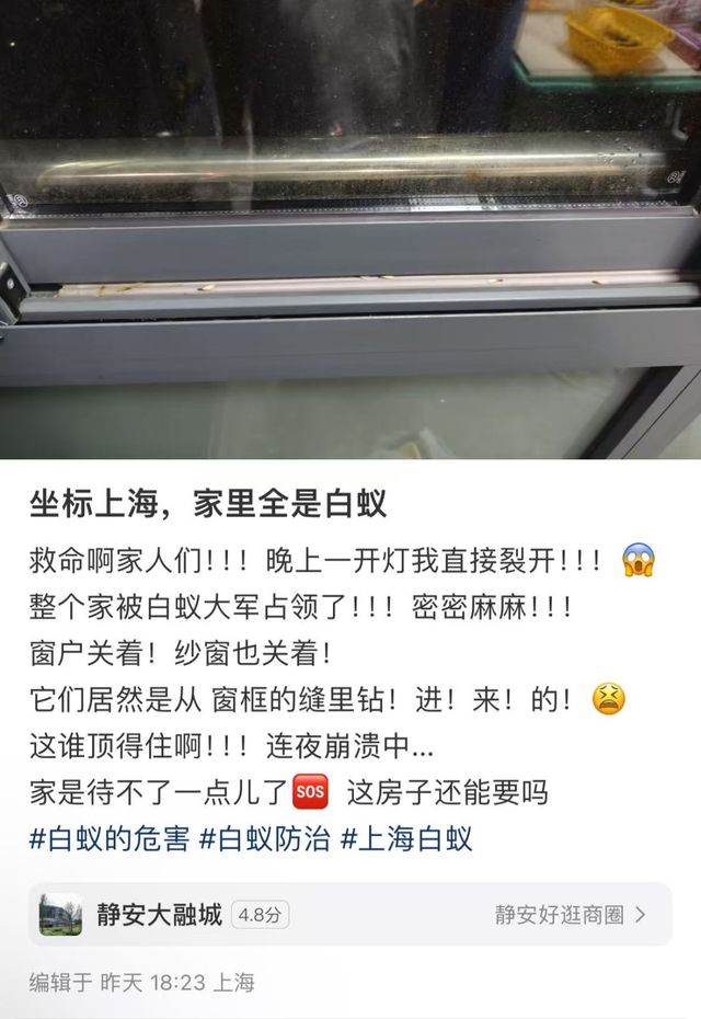 上海人注意！未来十几天随时可能爆发！