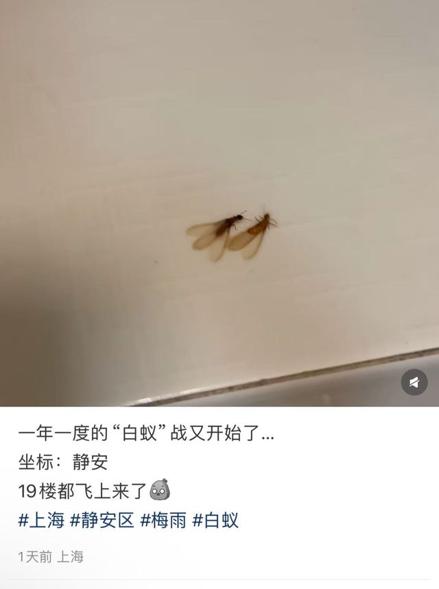 上海人注意！未来十几天随时可能爆发！