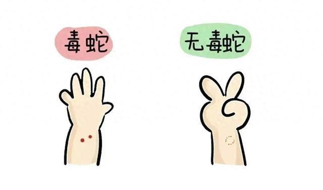 关键时刻能救命！淄博市卫生健康委公布全市抗蛇毒血清储备医院