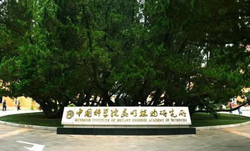 618大促“逆势提价”？这家国货美妆为何敢对价格战说“不”