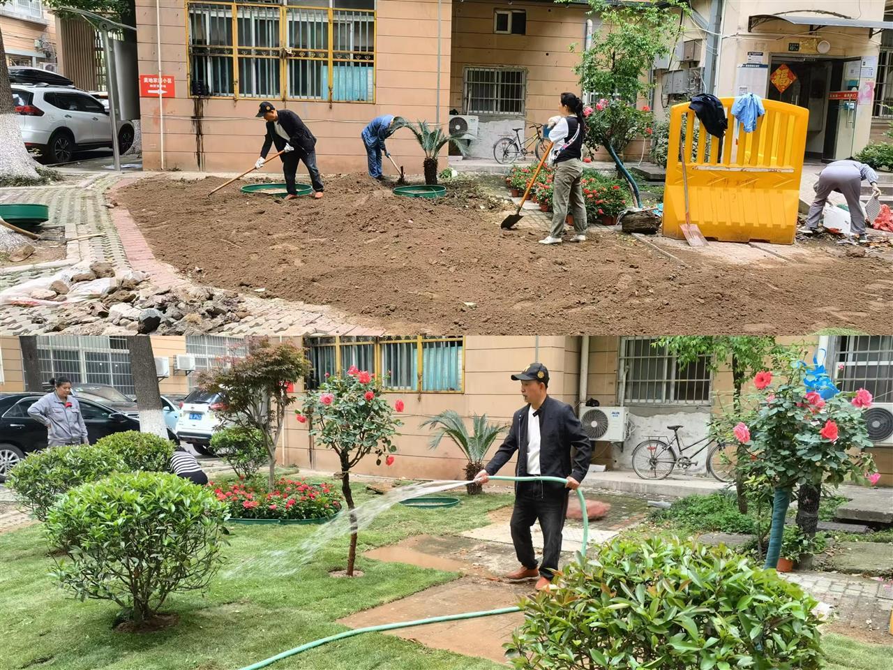 共享花园前后对比.png
