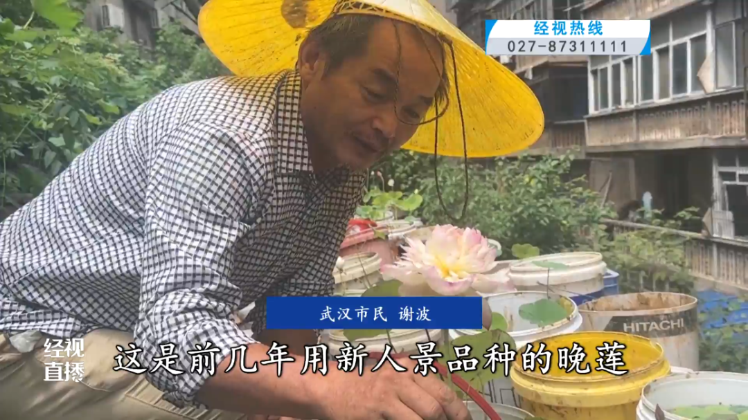 武汉男子打造三层空中荷塘，种植千株莲花