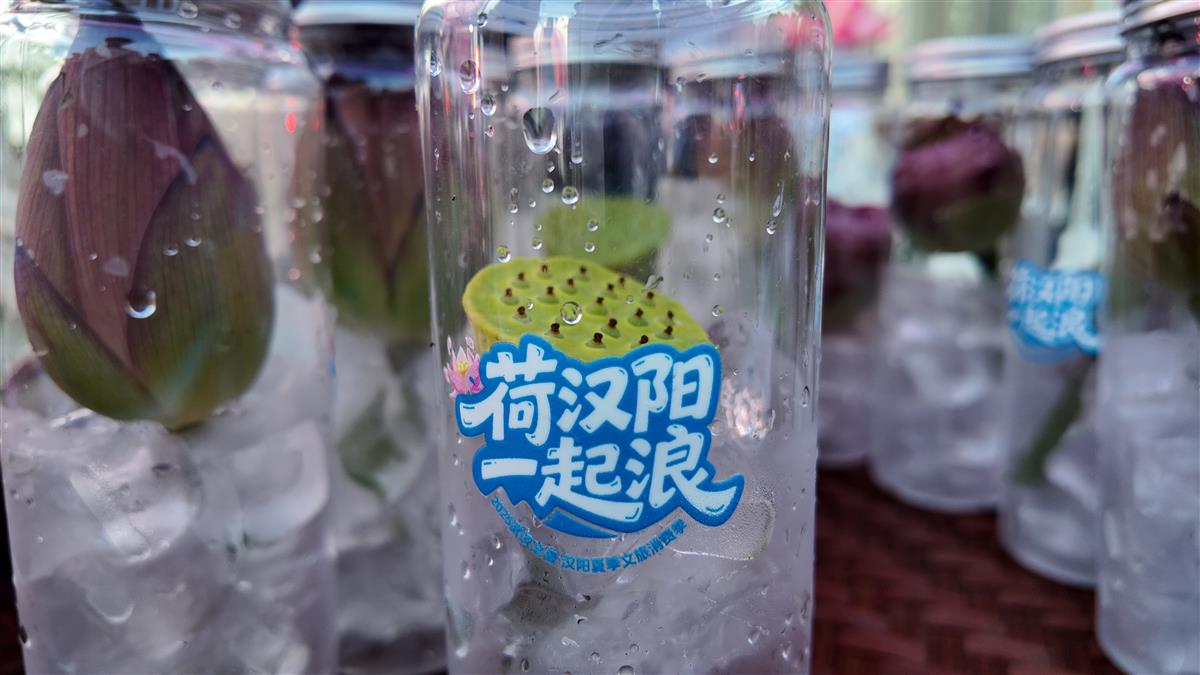 汉阳文旅消费季开幕 市民畅享夏日欢乐