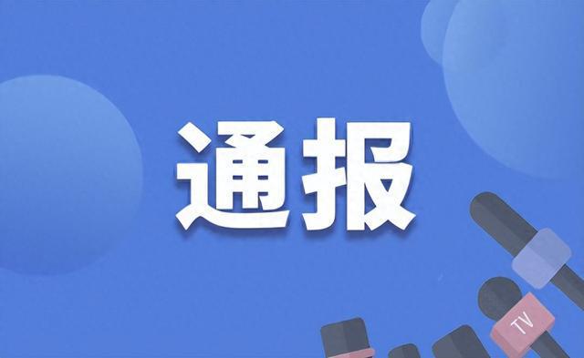 延边州市场监督管理局一级调研员张静，借培训之机旅游，受党内严重警告处分