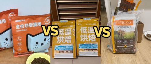 如何选择好的猫粮还要便宜的？推荐三款猫粮