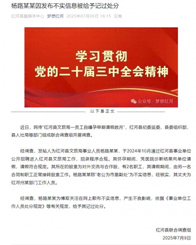 云南红河：杨路某某被记过处分，丈夫不是副处