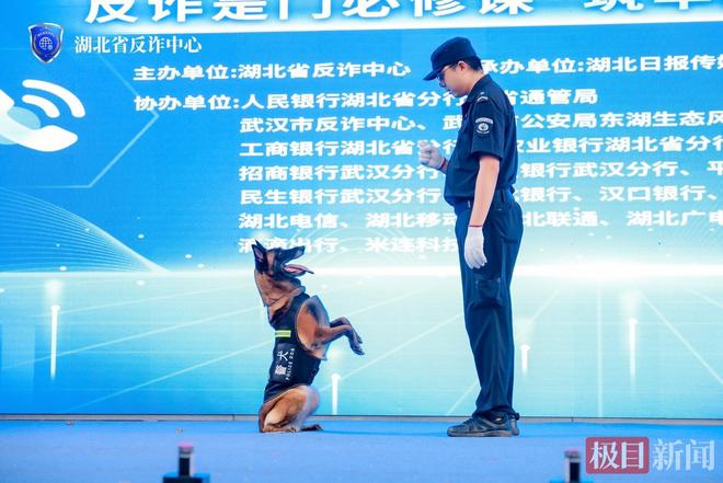 2025年湖北全民反诈宣传月活动启动